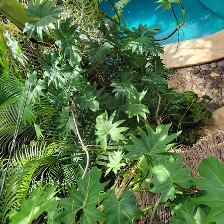 The Secret Garden Tulum Apartment Exterior foto