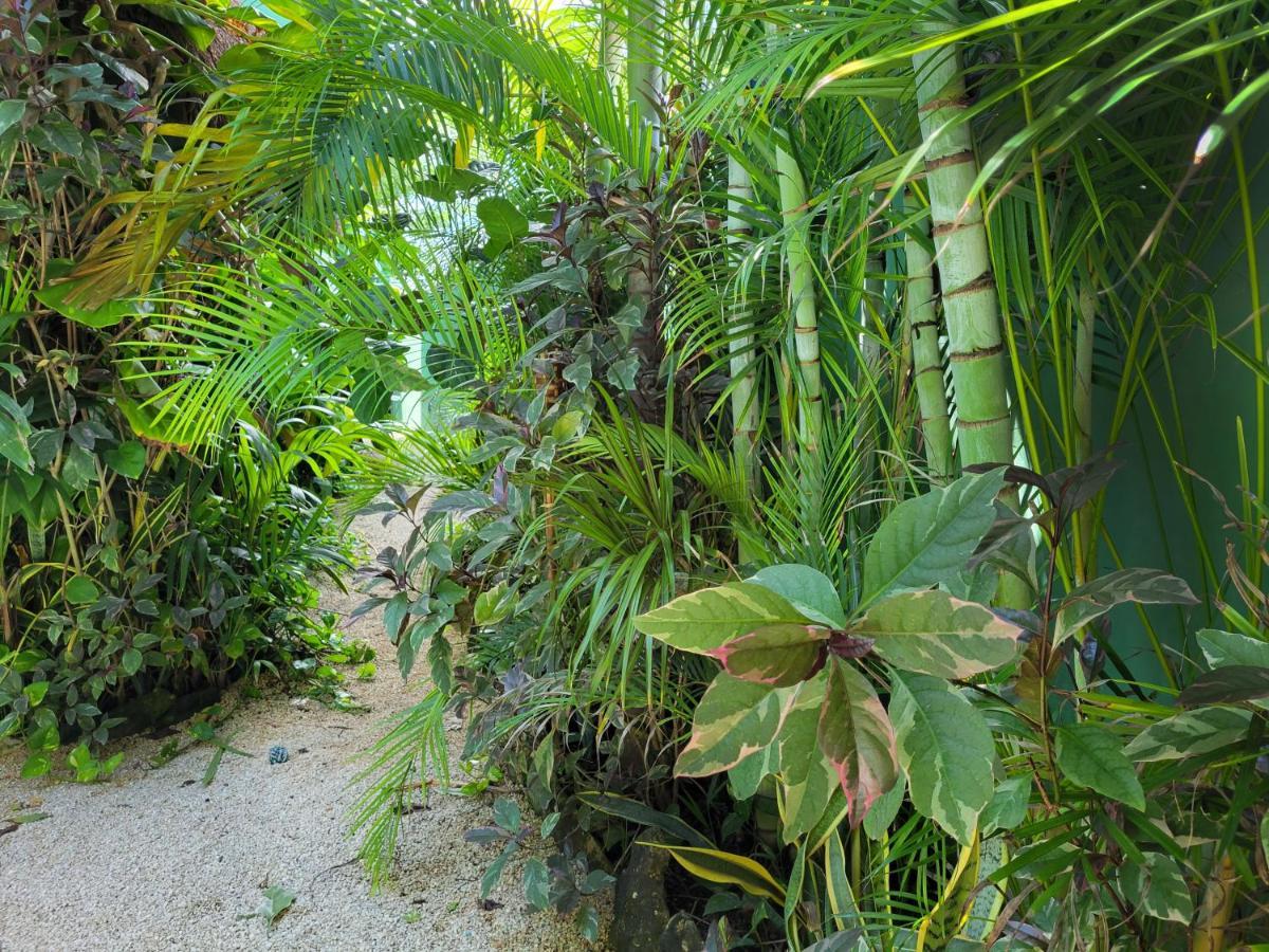The Secret Garden Tulum Apartment Exterior foto
