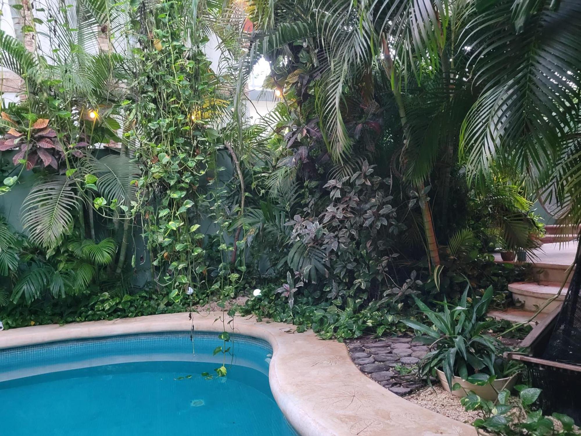 The Secret Garden Tulum Apartment Exterior foto