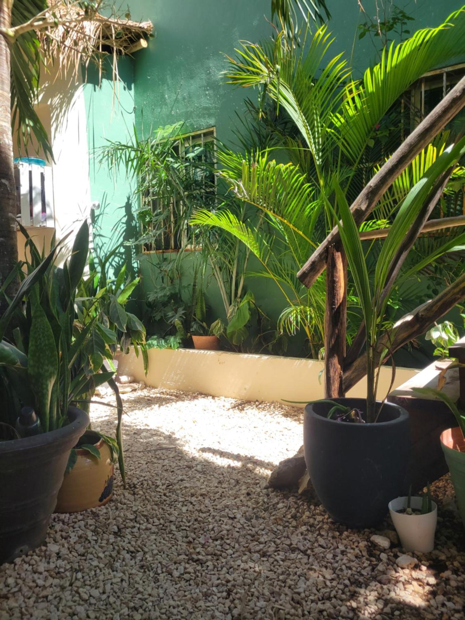 The Secret Garden Tulum Apartment Exterior foto