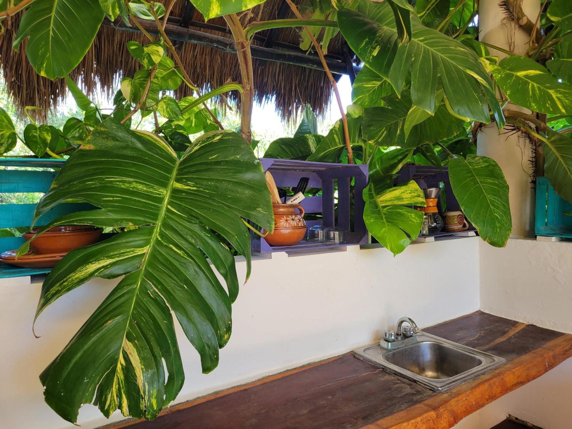 The Secret Garden Tulum Apartment Exterior foto