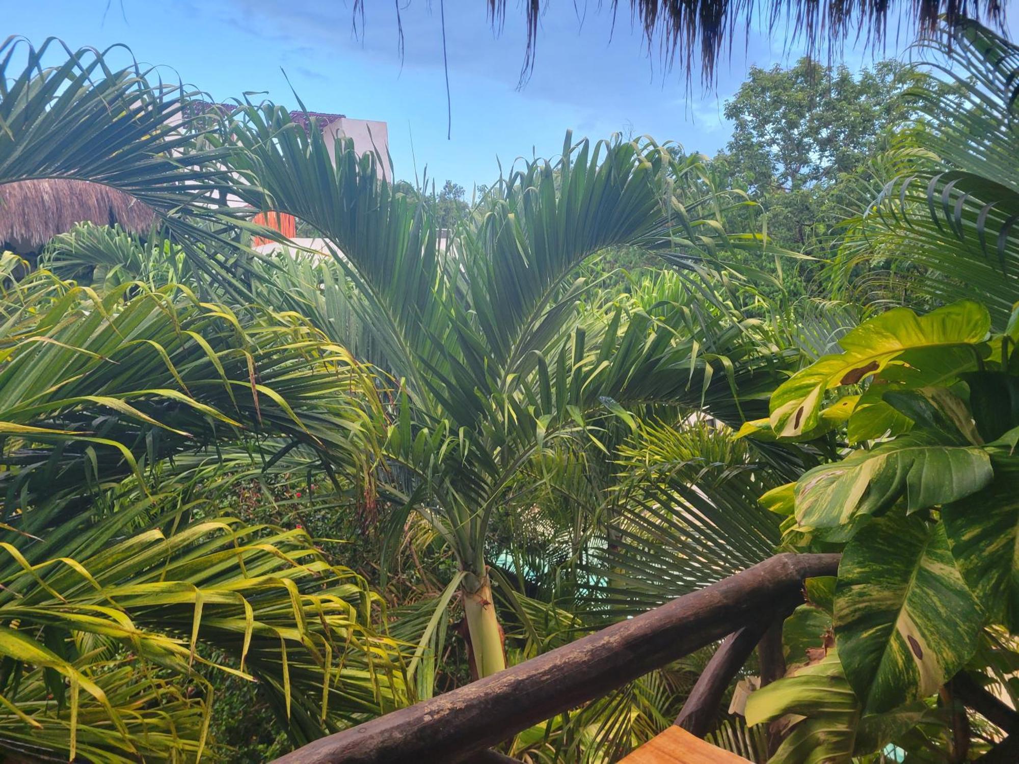 The Secret Garden Tulum Apartment Exterior foto
